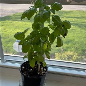 Meet your Posher, Jim